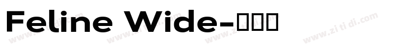Feline Wide字体转换